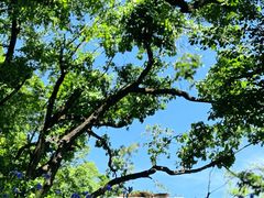 -栾川竹海野生动物园