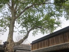 -鲤院·新中式美学·庭院餐厅(夫子庙店)