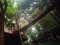 -呀路古热带植物园
