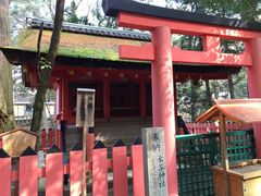 -奈良公园