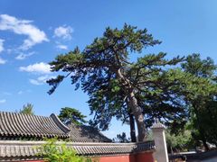 -阳台山自然风景区