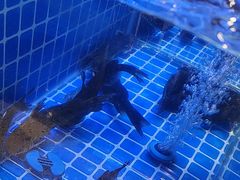 -名扬煮艺肥牛自助火锅(同和店)