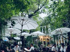 -Fern Forest Cafe