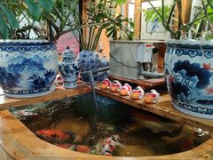 -老康火锅(黄河路总店)
