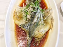 -同庆楼(滨湖万达广场店)