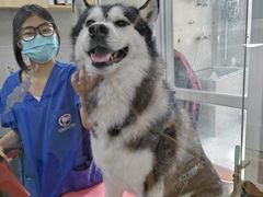 -宠福鑫康馨动物医院·骨科·眼科