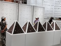 -KKV(重庆光环购物公园店)