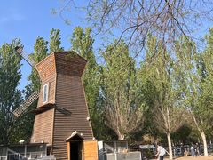 -长白岛森林公园