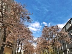-北京邮电大学