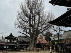 -医王山·飞騨国分寺