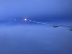 -约翰·菲茨杰拉德·肯尼迪国际机场