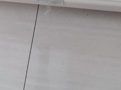 -荆九爷爆炒桥头三嫩(夫子庙店)
