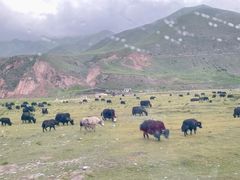 -青海湖国家重点风景名胜区