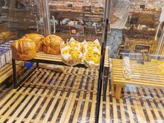 -可莎蜜兒(金城店)