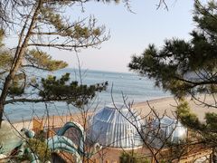 -棒棰岛宾馆景区