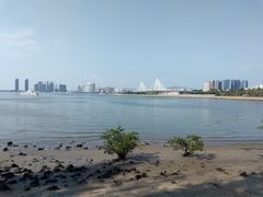 -万绿园