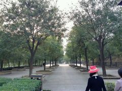 -西安汉城湖景区