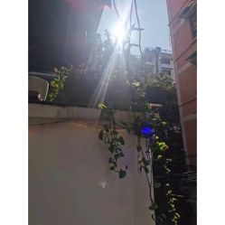 -匿名者纹身学院派·刺青