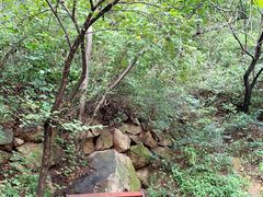 -大岭沟猕猴桃谷风景区