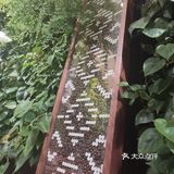 养的还真不错呢~「杨枝甘露」点了一杯杨枝甘露