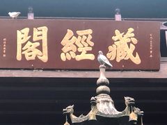 -南华禅寺