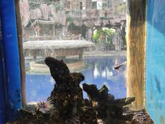 -长鹿旅游休博园