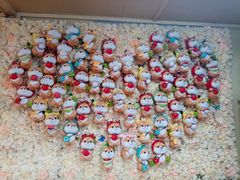 -柴犬高等学院·狗咖·柴犬售卖·宠物训练