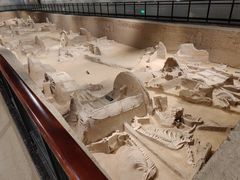 -洛阳周王城天子驾六博物馆