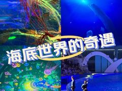 -海合安青岛极地海洋公园