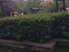 -咸宁万豪温泉谷度假区