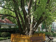 -徐家汇源景区-衡山公园