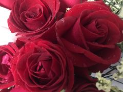 -洛柔芙(CBD万达店)