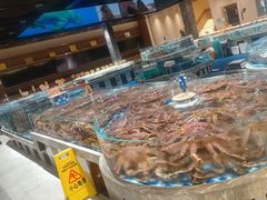 -陶缘一号·四季缘·老字号顺德菜·户外婚礼家宴(西滘店)