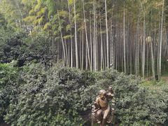 -杭州黄龙洞