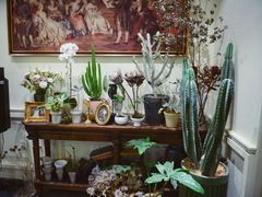 -也枫·小黄楼(南山路旗舰店)