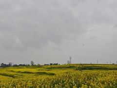 -三圣花乡旅游区