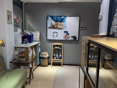 -御宝贝·A梦猫科宠物医院(国际猫友好医院)