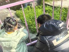 -南湖梦幻岛