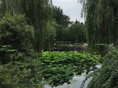 -郑和公园