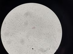 -太原东方动物医院(小店分院)