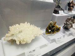 -湖南省地质博物馆