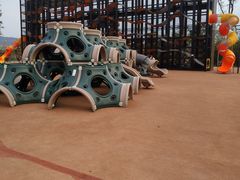 -枫香湖儿童公园