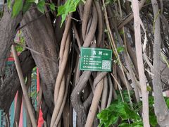 -晋阳饭庄(虎坊桥店)