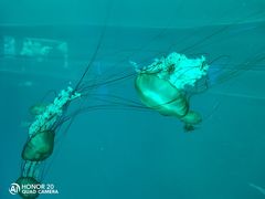 -多彩贵州城极地海洋世界