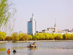 -莲花池公园