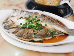 清蒸海鲈鱼-李师傅脆肚(梅林店)