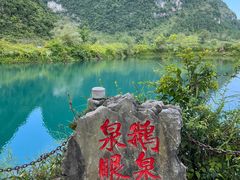 -靖西鹅泉风景区