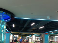 -阳光台球俱乐部