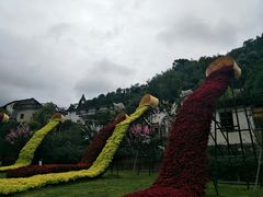 -新安江山水画廊风景区