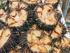 -77号渔船·蒸海鲜青岛菜(积米崖店)